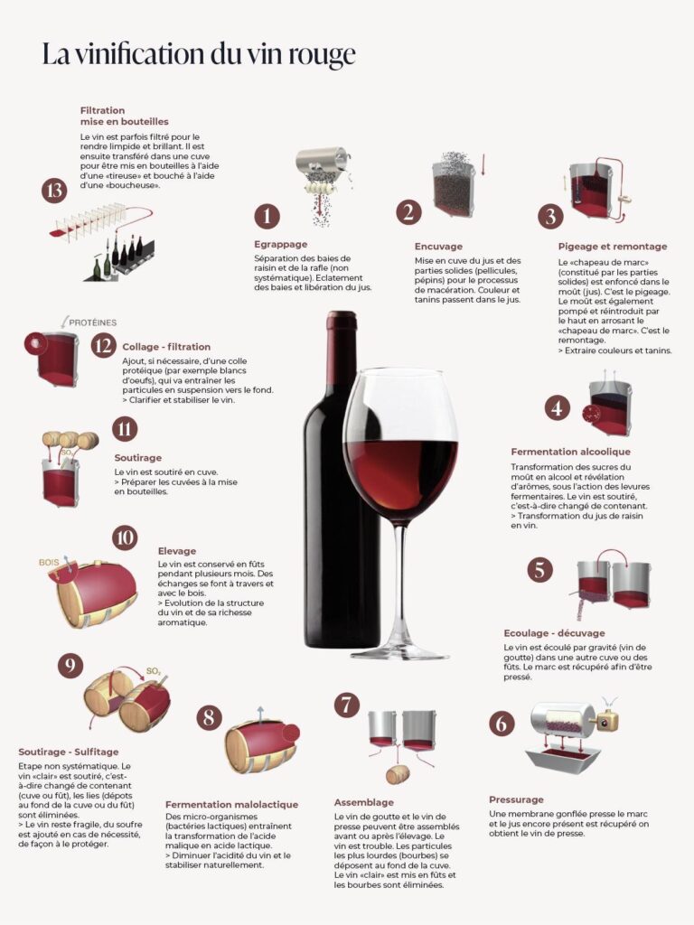 Guide étape par étape pour faire son propre vin rouge